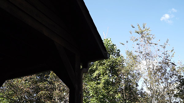 Sony A7S Review -- Field Test Gallery Image