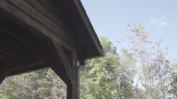 Sony A7S Review -- Field Test Gallery Image