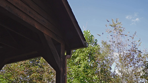 Sony A7S Review -- Field Test Gallery Image