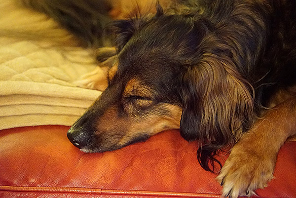 Sony A7S Review - Gallery Image