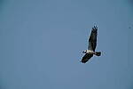 Click to see Y-200-600MM-DSC00298.JPG