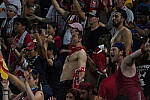 Click to see Y-200-600MM-DSC04639.JPG