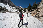 Click to see Y-BD-37318-12-24MM-MOD.JPG