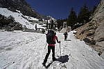 Click to see Y-BD-37318-12-24MM.JPG