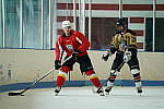 Click to see Y-DSC04480.JPG