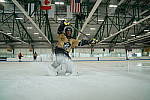 Click to see Y-DSC04978.JPG