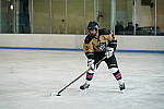Click to see Y-DSC05127.JPG