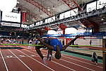 Click to see Y-DSC06444.JPG