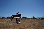 Click to see Y-JS-A9-DSC01273-12-24MM.JPG