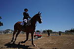 Click to see Y-JS-A9-DSC01350-12-24MM.JPG