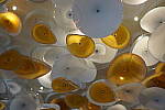 Click to see Y-MW-153.JPG