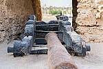 Click to see Y-MW-185-EDT.jpg