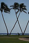 Click to see Y-SonyGolf-DSC00406.JPG