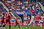 Click to see Y-WB-400MM-DSC01838-RawEdit.jpg