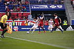 Click to see Y-WB-400MM-DSC02312.JPG