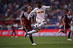 Click to see Y-WB-400MM-DSC02320.JPG