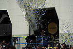 Click to see YDSC06506.JPG