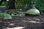 Click to see YDSC09287.JPG