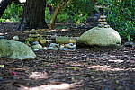 Click to see YDSC09293.JPG