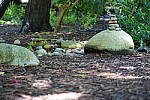 Click to see YDSC09300.JPG