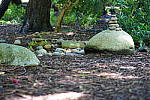 Click to see YDSC09302.JPG