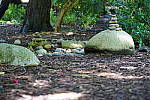 Click to see YDSC09305.JPG