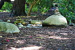 Click to see YDSC09311.JPG