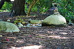 Click to see YDSC09320.JPG