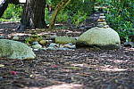Click to see YDSC09328.JPG