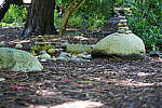 Click to see YDSC09332.JPG