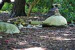 Click to see YDSC09338.JPG