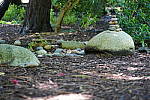 Click to see YDSC09349.JPG
