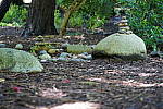 Click to see YDSC09353.JPG