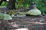 Click to see YDSC09358.JPG