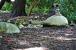Click to see YDSC09361.JPG
