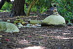 Click to see YDSC09366.JPG