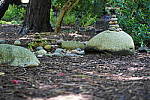 Click to see YDSC09372.JPG
