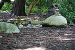 Click to see YDSC09378.JPG