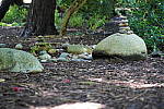 Click to see YDSC09383.JPG