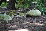 Click to see YDSC09394.JPG