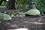 Click to see YDSC09400.JPG