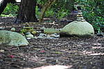Click to see YDSC09412.JPG