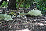 Click to see YDSC09413.JPG