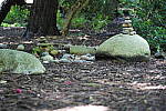Click to see YDSC09417.JPG