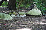 Click to see YDSC09421.JPG