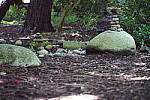 Click to see YDSC09423.JPG