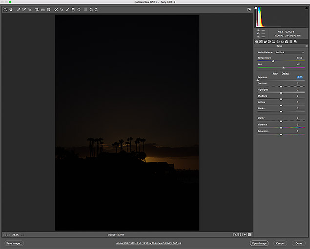 Sony A9 Review -- Gallery Image