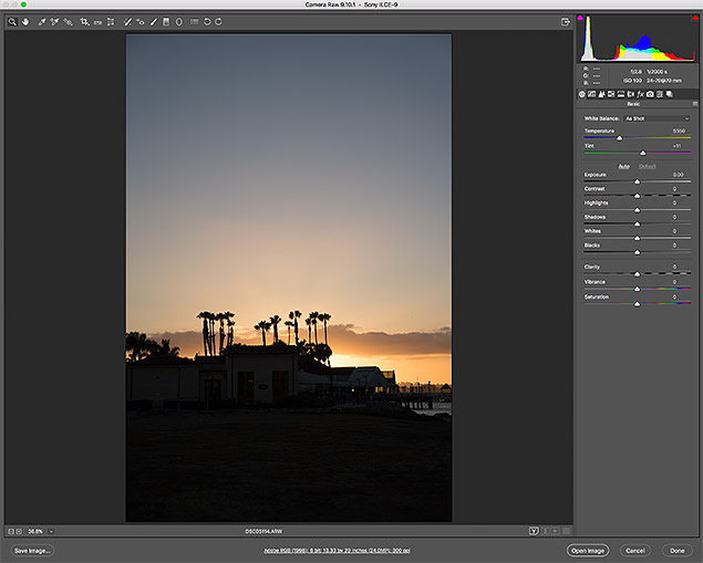 Sony A9 Review -- Gallery Image