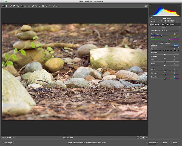 Sony A9 Review -- Gallery Image