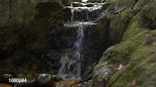 Sony A9 Review -- Gallery Image